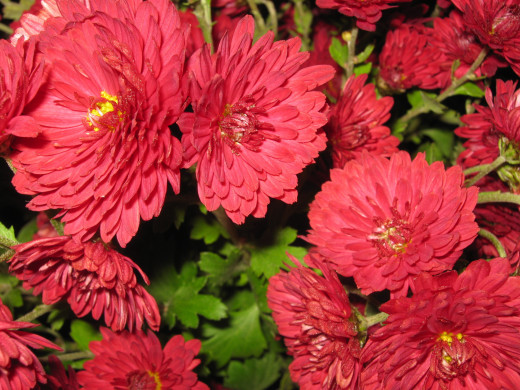 582217 (a): :2816x2112